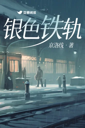 银色铁轨封面