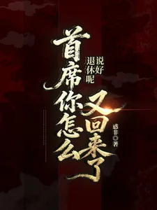 说好退休呢?执法官你怎么回来了封面