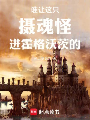 谁让这只摄魂怪进霍格沃茨的!封面