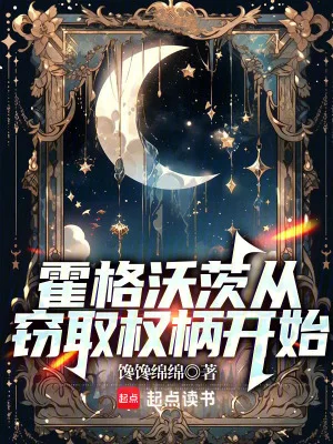霍格沃茨从窃取权柄开始封面