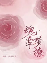 魂牵梦撩封面