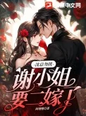 沈总勿扰,谢小 姐要二嫁了封面