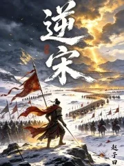 逆宋封面