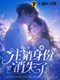 婚后第三年,她注销身份消失了封面