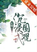 红楼沉浸式围观封面