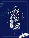 (历史同人)我的外甥是雍正封面