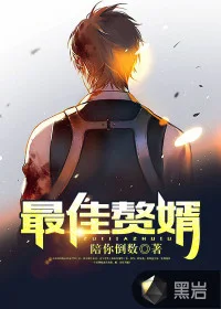 最佳女婿封面