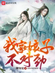 我家娘子,不对劲封面