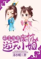 邪王追妻：废材逆天小姐封面