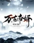 万古帝婿封面
