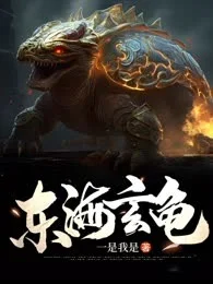 东海玄龟封面