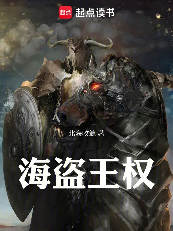 海盗王权封面