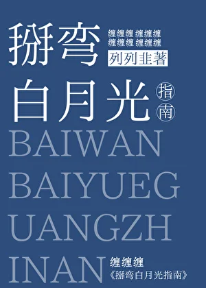 掰弯白月光指南封面