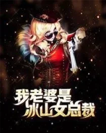 我老婆是冰山女总裁封面