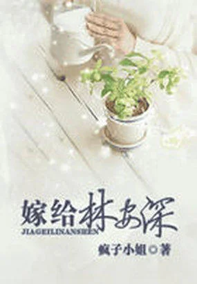 嫁给林安深封面