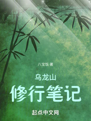 乌龙山修行笔记封面