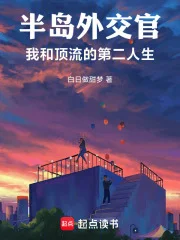 半岛外交官:我和顶流的第二人生封面