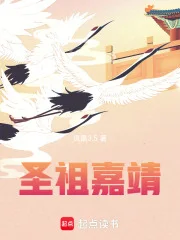 圣祖嘉靖封面