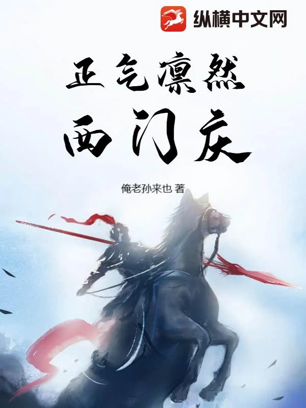 正气凛然西门庆封面