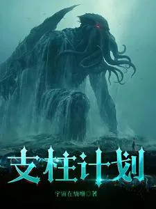 支柱计划封面