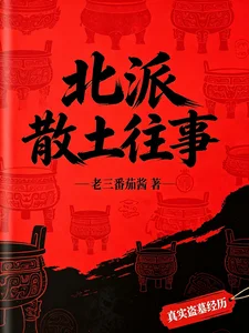 北派散土往事封面
