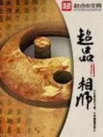 超品相师封面