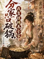 分家只一口破锅,我靠摆摊养全家封面