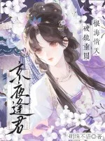 京夜逢君封面