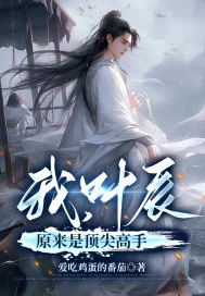 我,叶辰原来是顶尖高手封面