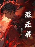 混元书封面