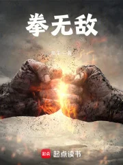 拳无敌封面