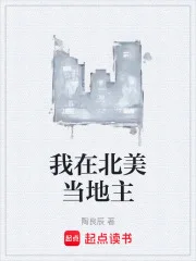 我在北美当地主封面