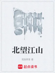 北望江山封面