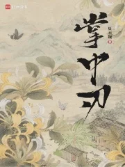 掌中刃封面