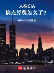 人在CIA，搞点经费怎么了？封面
