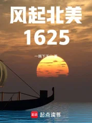 风起北美1625封面