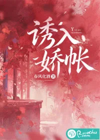 诱入娇帐封面