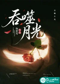 吞噬月光封面