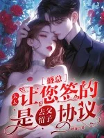 盛总，太太让您签的是去父留子协议封面