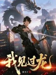 我见过龙封面