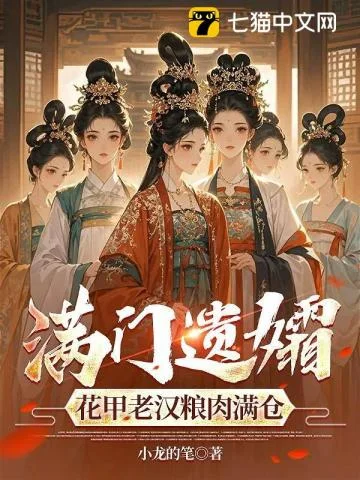 无双宿将封面