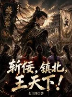 斩佞,镇北,王天下!封面