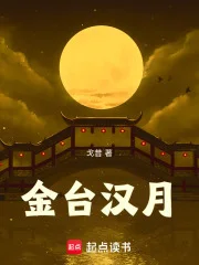 金台汉月封面
