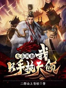 大秦风起,我只手挽天倾封面