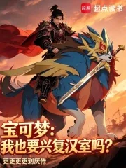 宝可梦:我也要兴复汉室吗?封面