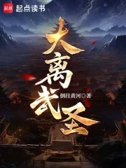 大离武圣！封面