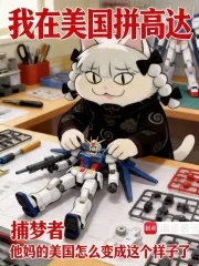 我在美国拼高达封面
