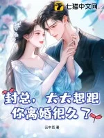 封总,太太想跟你离婚很久了封面
