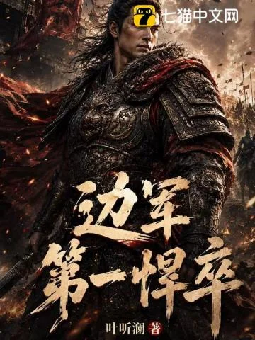 边军第一悍卒封面