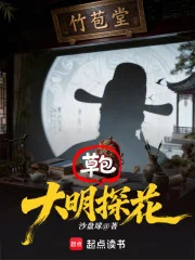 大明草包探花封面